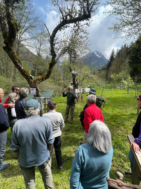 Visite guidée du verger conservatoire de la Chalp-en-Valjouffrey